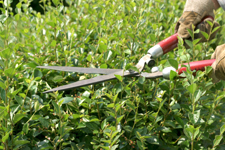D�sinfecter vos outils !